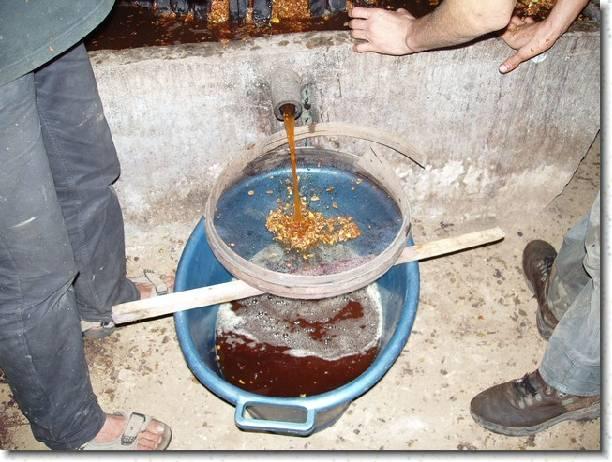 jus de pommes 12